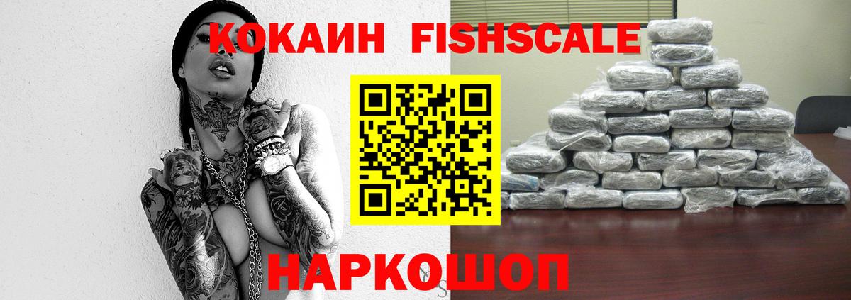 Cocaine Fish Scale  Вход с VPN  COCAIN Columbia  Богданович 