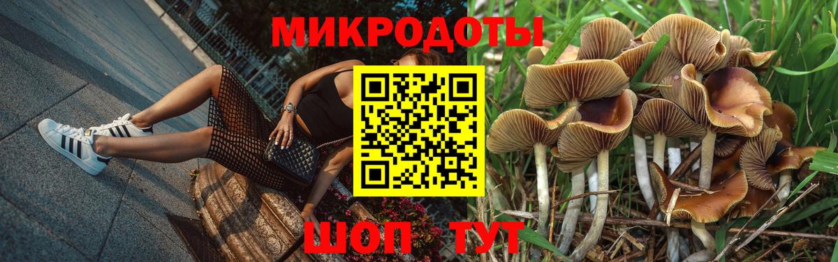 Псилоцибиновые грибы мицелий  Вход с VPN  Псилоцибиновые грибы Cubensis  Богданович 
