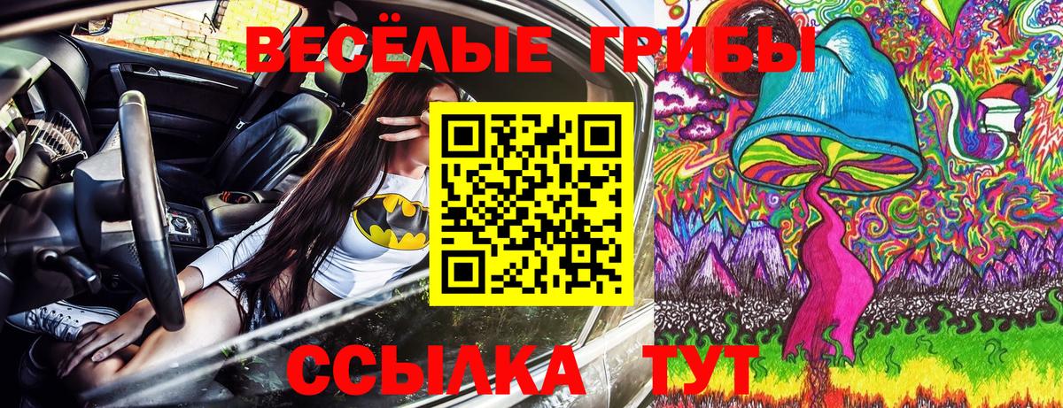 Галлюциногенные грибы MAGIC MUSHROOMS Богданович