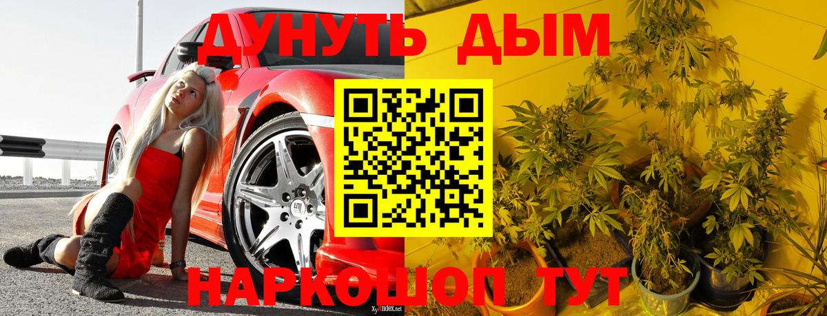 Конопля семена Богданович
